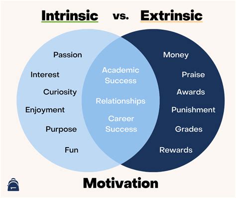 Intrinsic and extrinsic motivation from a self.